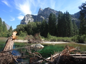 Kings Canyon National Park