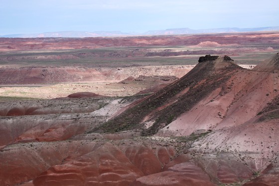 Petrified Forest National Park