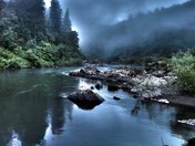 Rogue River WIld & Scenic