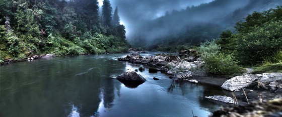 Rogue River WIld & Scenic