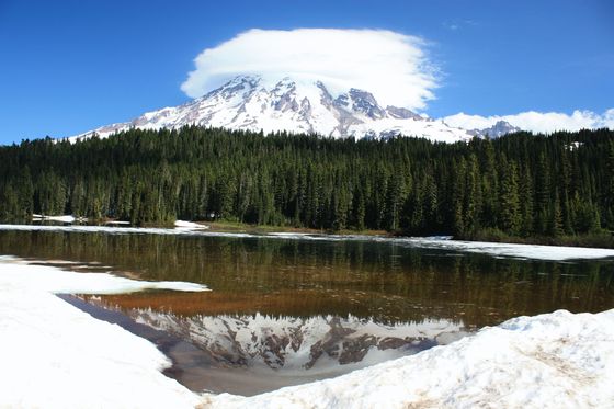 Mount Rainier National Park