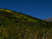 Rocky Mountains National Park