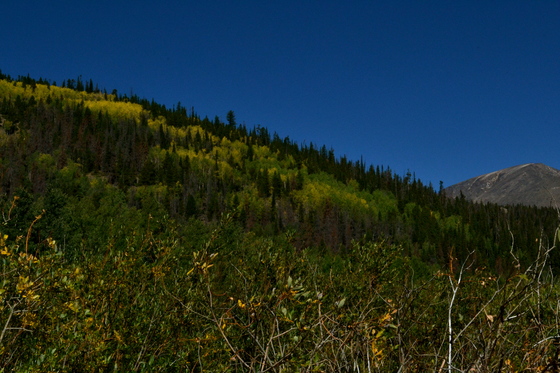 Rocky Mountains National Park
