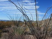 Big Bend National Park
