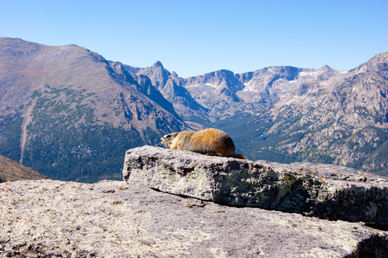 Rocky Mountainn National Park