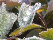 Glacier National Park