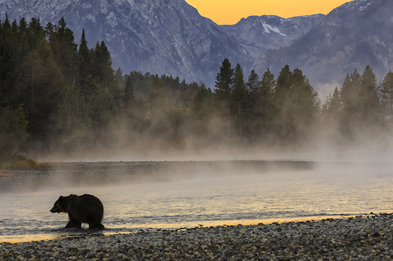 Grand Teton National Park