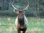 Great Smoky Mountains National Park