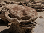 Bisti/De-Na-Zin Wilderness
