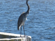 Gulf Islands National Seashore, FL
