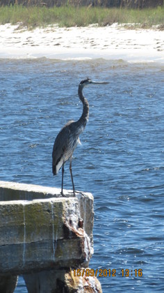 Gulf Islands National Seashore, FL