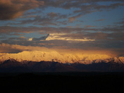 Denali National Park