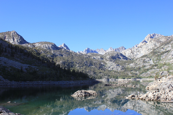 Toiyabe National Forest
