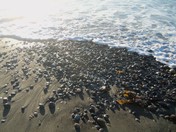 Dungeness National Wildlife Refuge