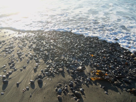Dungeness National Wildlife Refuge
