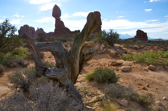 Arches National Park