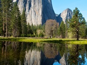 Yosemite National Park