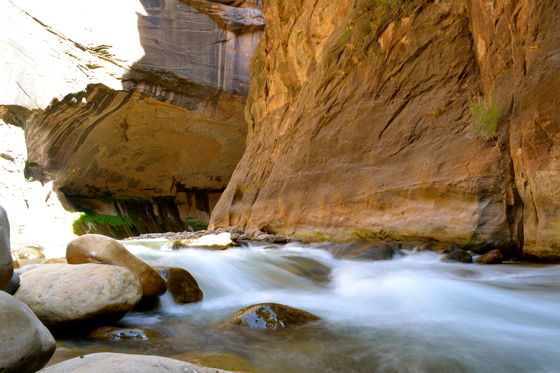 Zion National Park