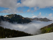Olympic National Park