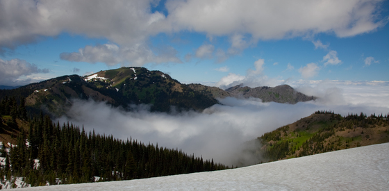 Olympic National Park