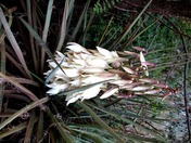 Grand Canyon National Park