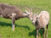 Badlands National Park