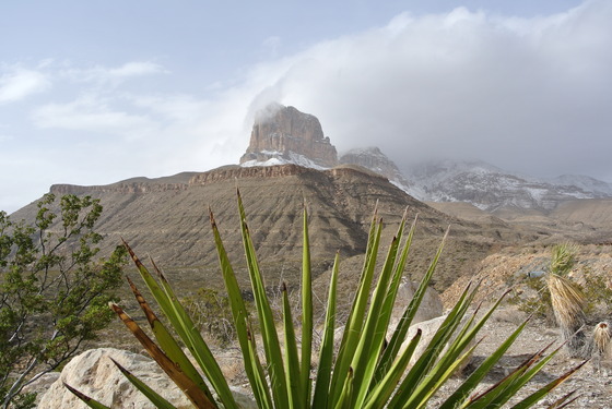 Gaudelupe Mountains National Park