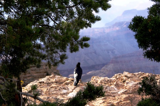 Grand Canyon National Park