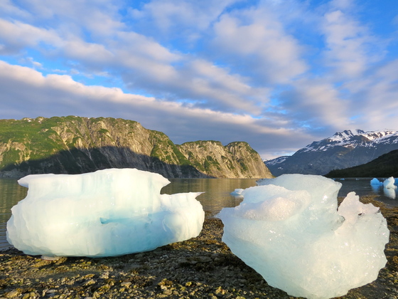 Glacier Bay National Park