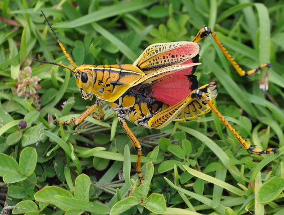 Everglades National Park