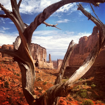 Arches National Park