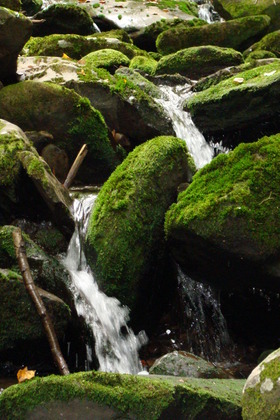 Smokey Mountains 