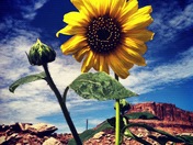 Canyonlands National Park