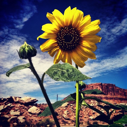 Canyonlands National Park