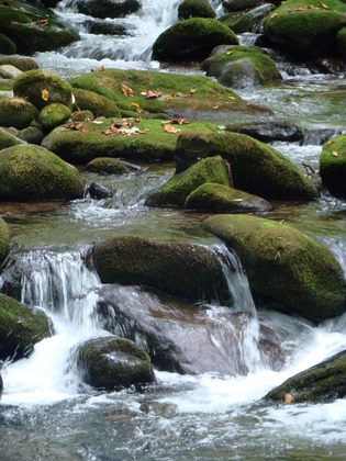 Smokey Mountain