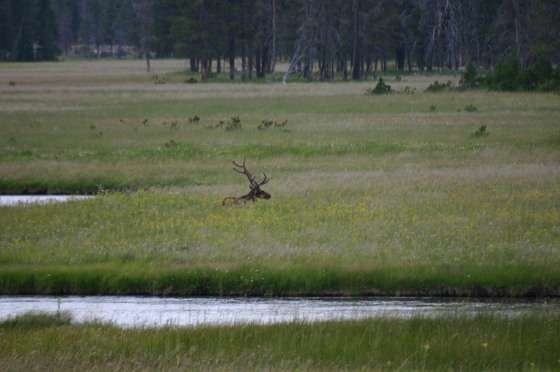 Yellowstone National Park