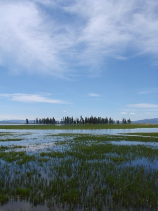 Yellowstone National Park