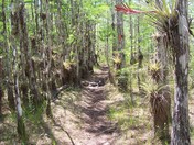 Big Cypress National Preserve