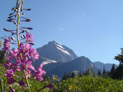 Glacier National Park