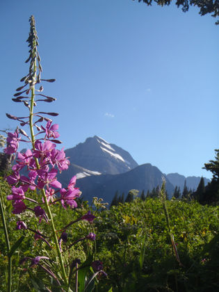 Glacier National Park