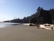 Olympic National Park