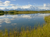 Denali National Park