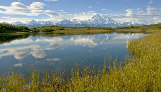 Denali National Park