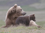 Katmai National Park Alaska
