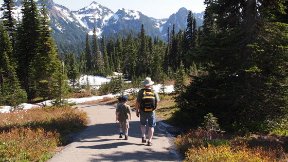 Mt. Rainier
