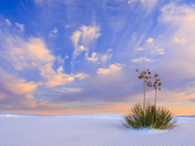 White Sands National Monument