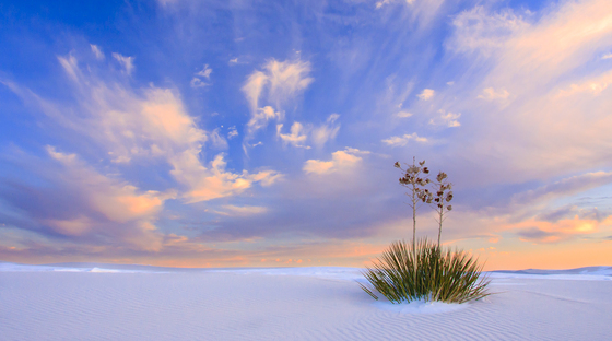 White Sands National Monument