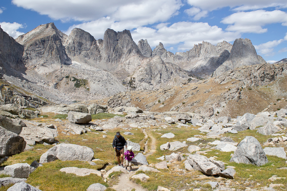 Bridger Teton National Forest