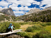 Bridger Teton National Forest