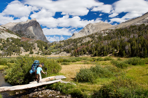 Bridger Teton National Forest